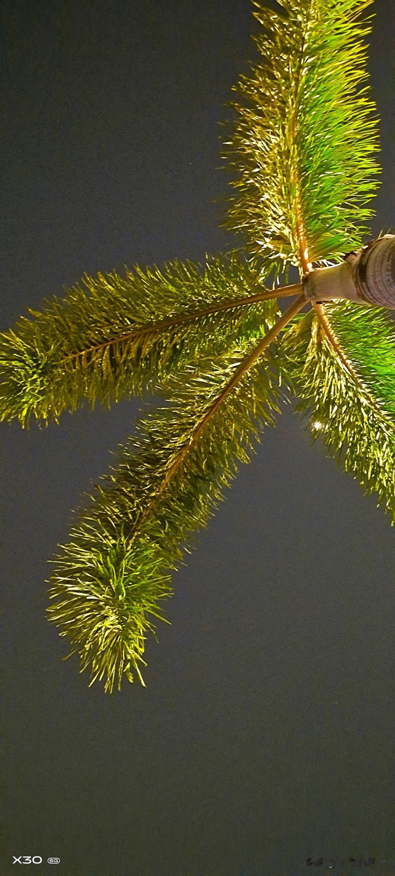 “绝配”这俩字总能整出些意想不到的故事。就像和亲宴上，妹妹挑了最英挺的六皇子，轮