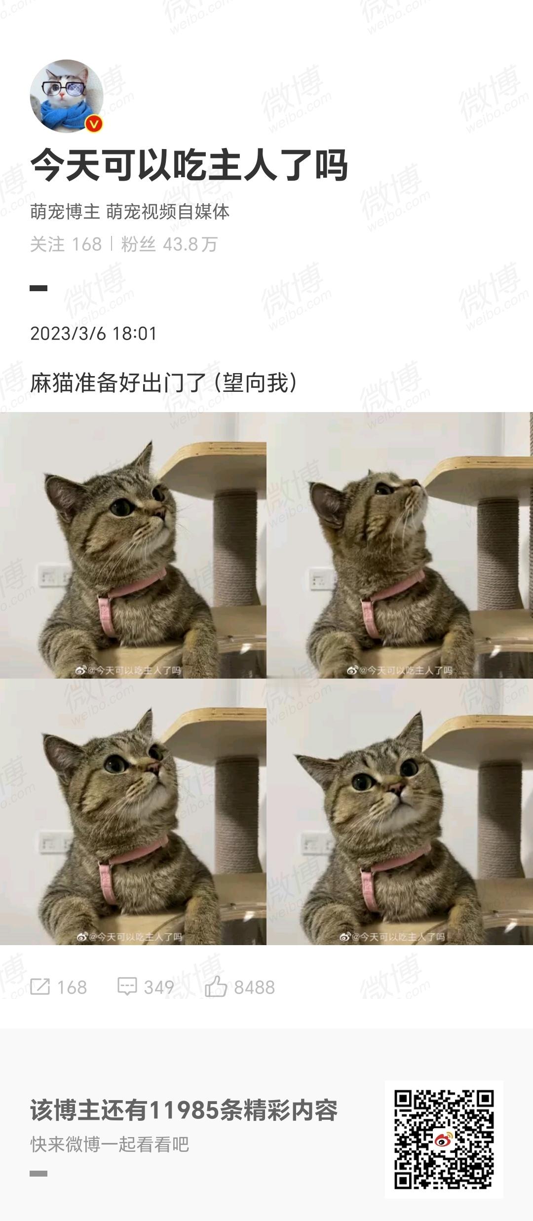 小猫小猫最有礼貌[超话] 出发吧冒险家 ​​​