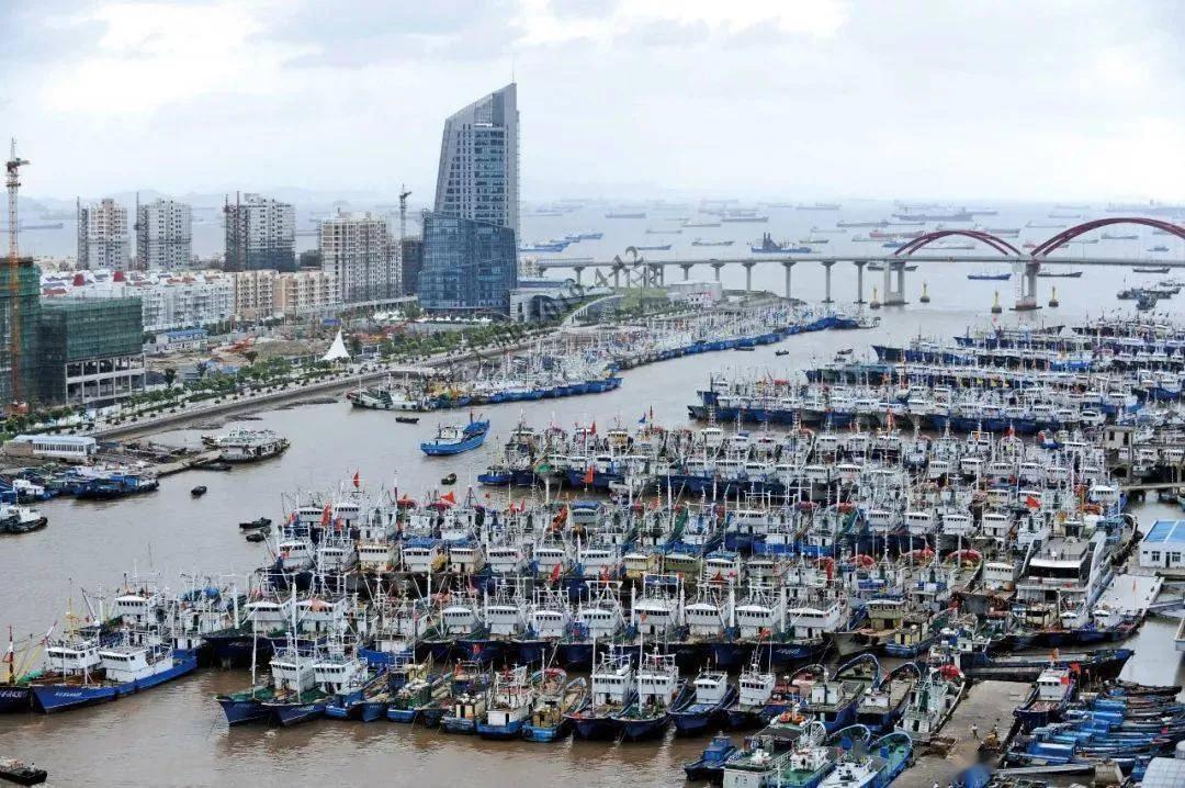 以前真没细想过"休渔期"这回事，最近听浙江沿海的朋友念叨，仔细一了解，哎哟，这里