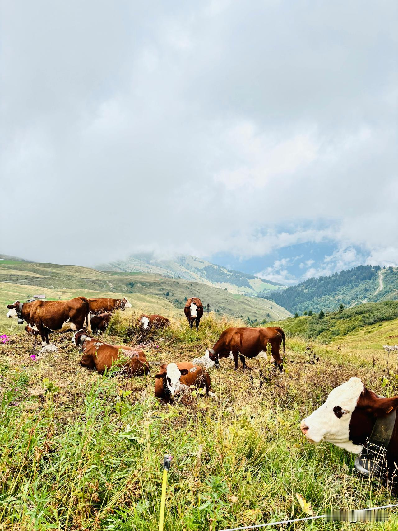 12306选座界面变了？铁路部门回应：A/F座仍是靠窗位

经常坐火车出行的朋友