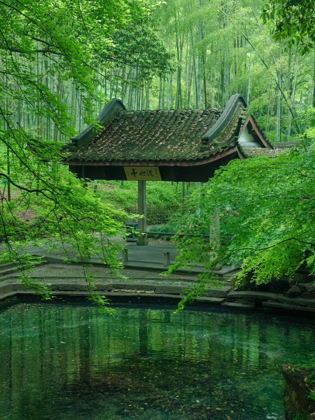 云栖竹径，真的是杭州最有江南诗意的地方🍃
