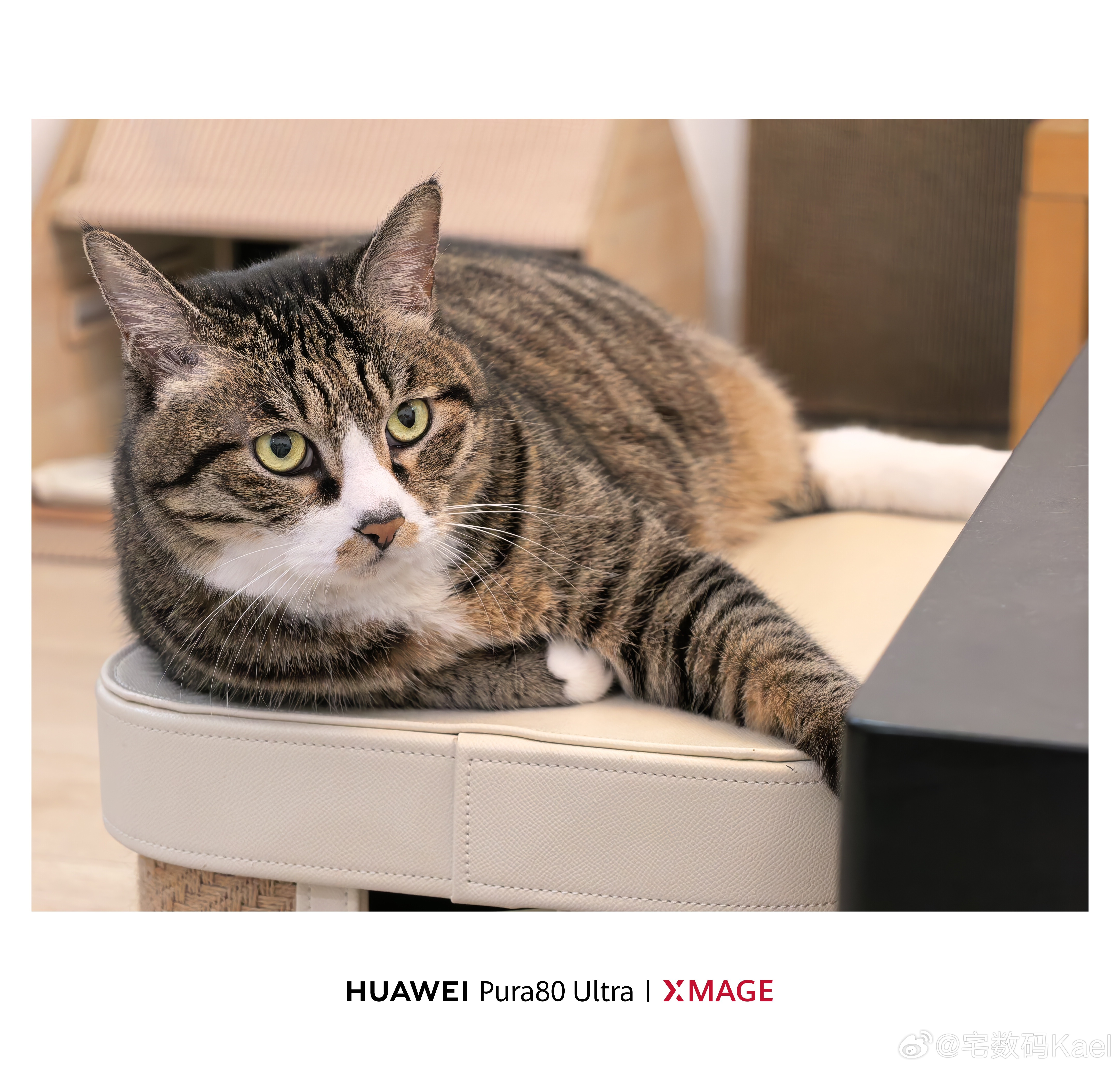 花臂大佬跟大家说少熬夜，晚安了[喵喵] ​​​