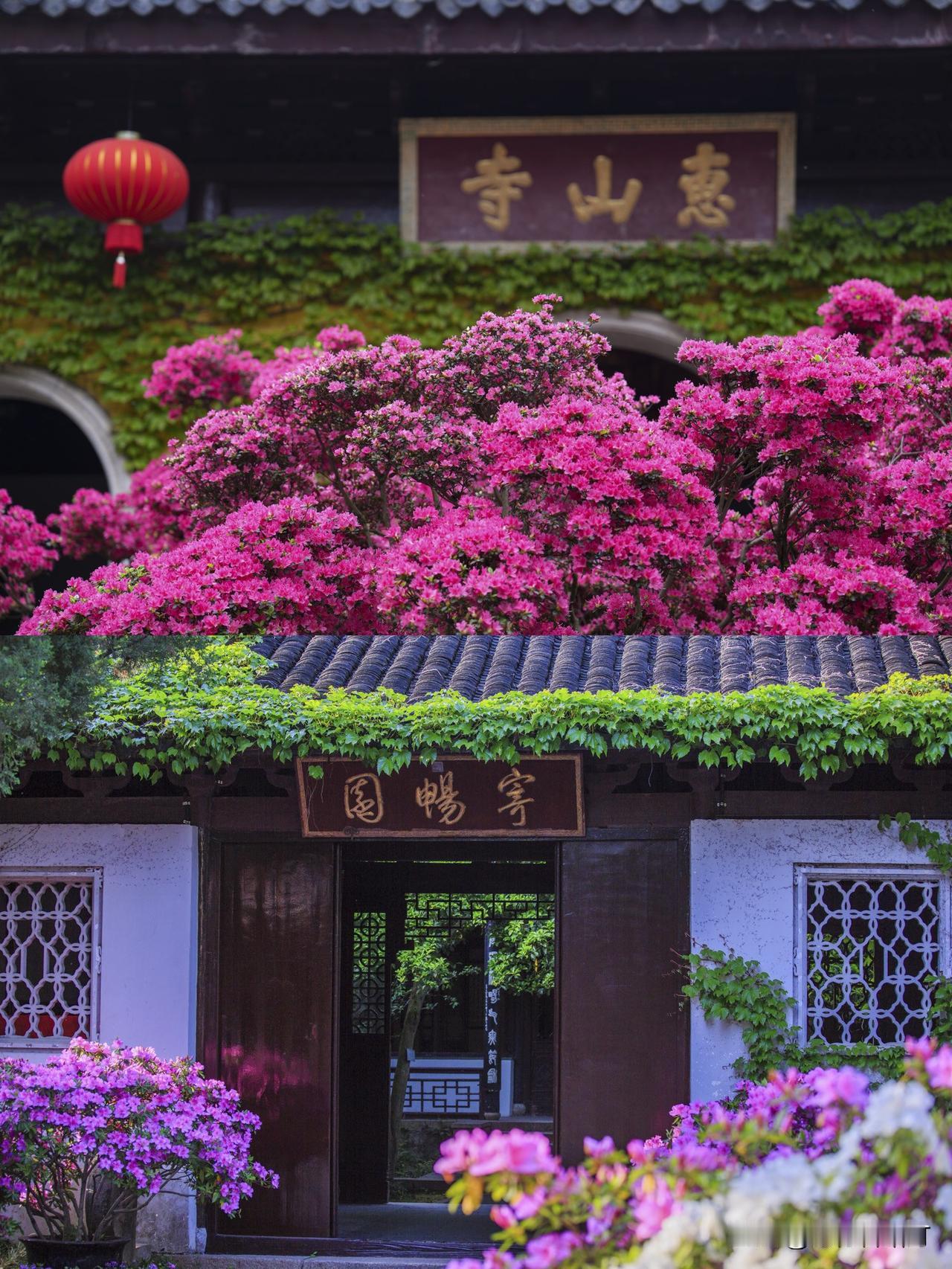 春天除了赏花，还有什么吸引你的事情？我更喜欢寻找藏在春日中，那耐人寻味的历史人文