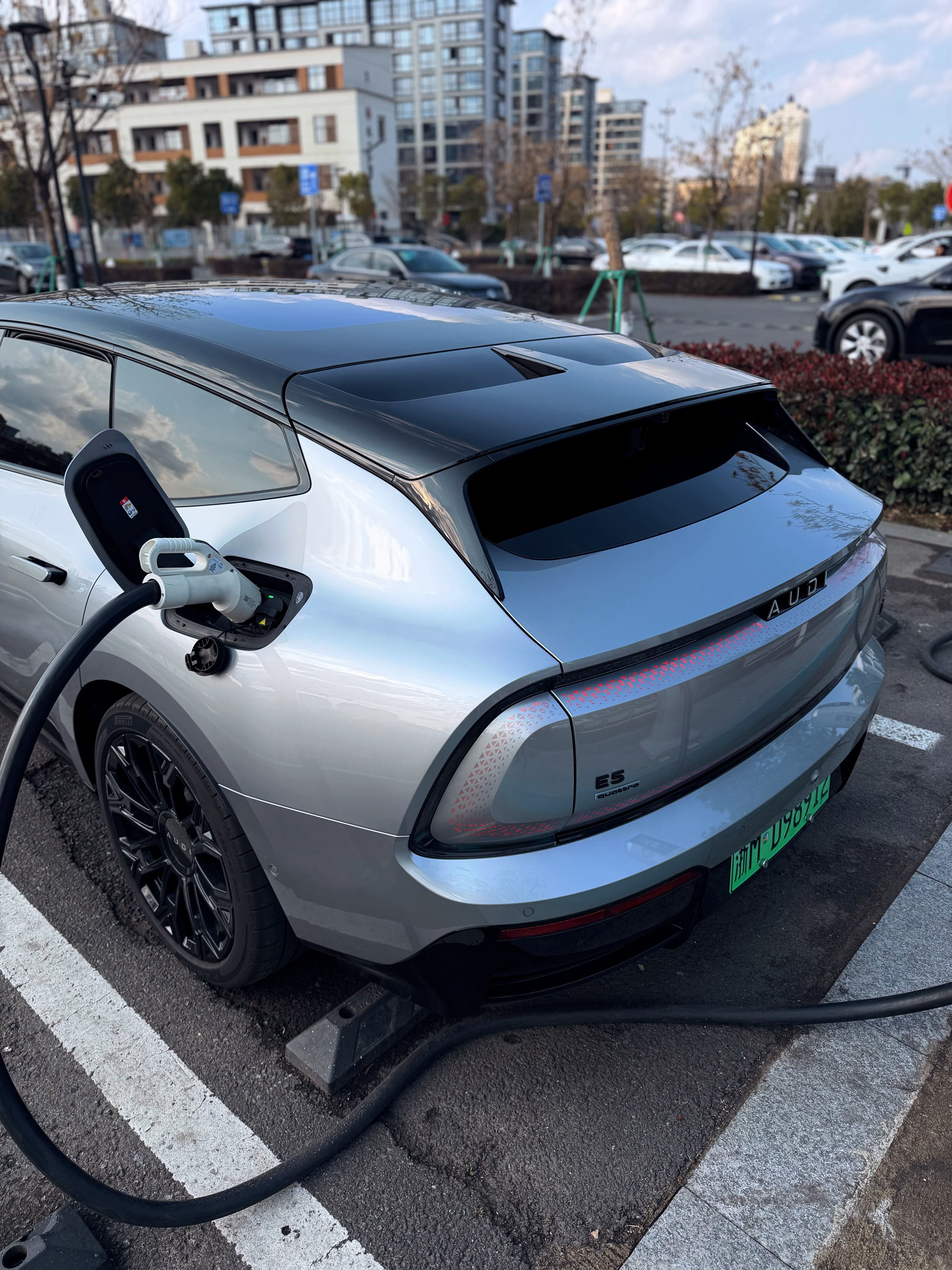 20度气温，希望春节每天都这样  大家都放假了吗？ 