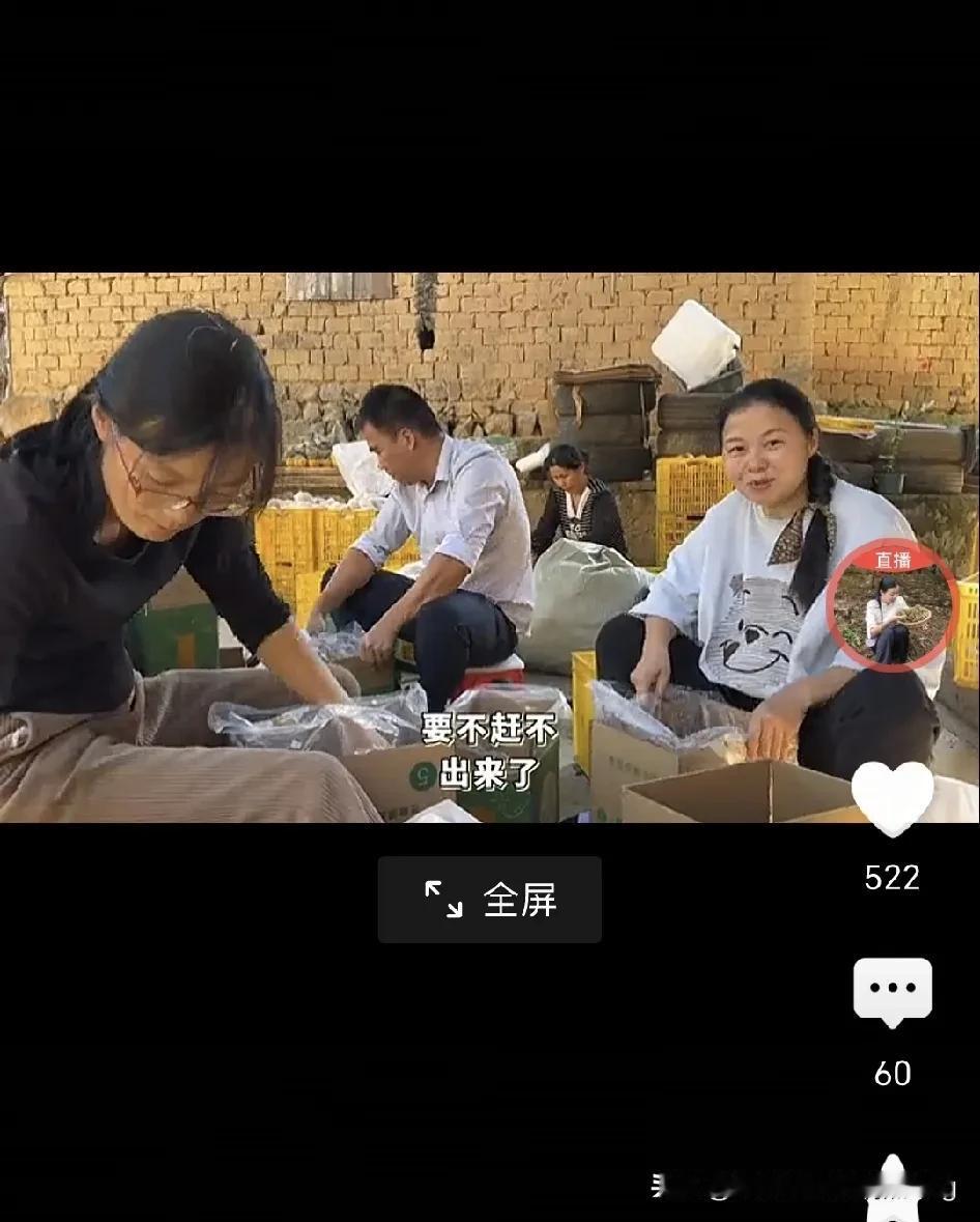 小翠脆柿爆单柿，全家老小忙不过来，还请了两位婶婶来帮忙，小霖霖也很能干，才一岁多