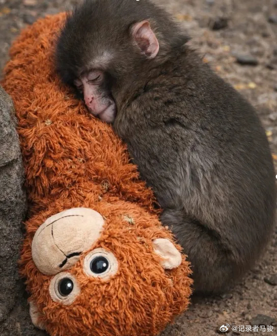 一个拥抱，是把自己从世界获取的温柔，再分给世界一点点。而世界，会给予你更多的温柔