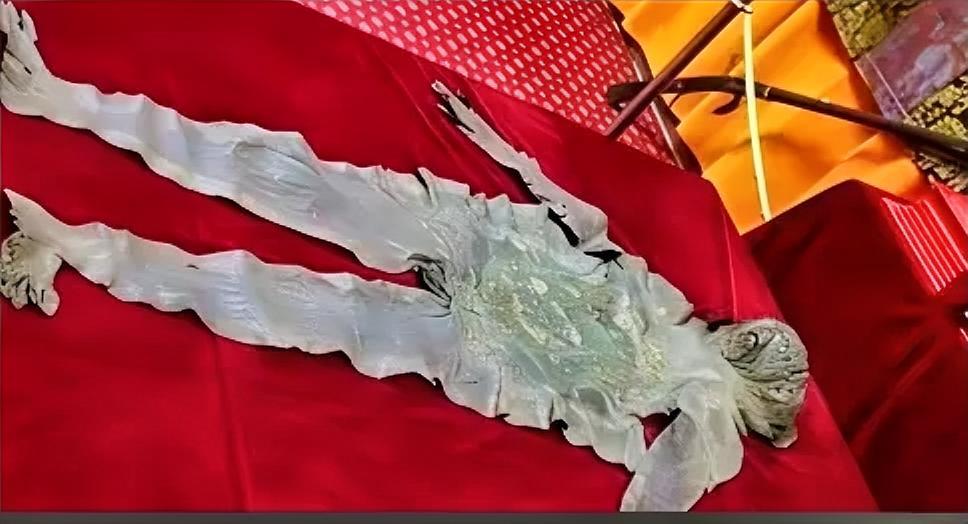 1393年，朱元璋下令将蓝玉剥皮，蓝玉忍不住大骂说："太子一死就说我谋反，这分明