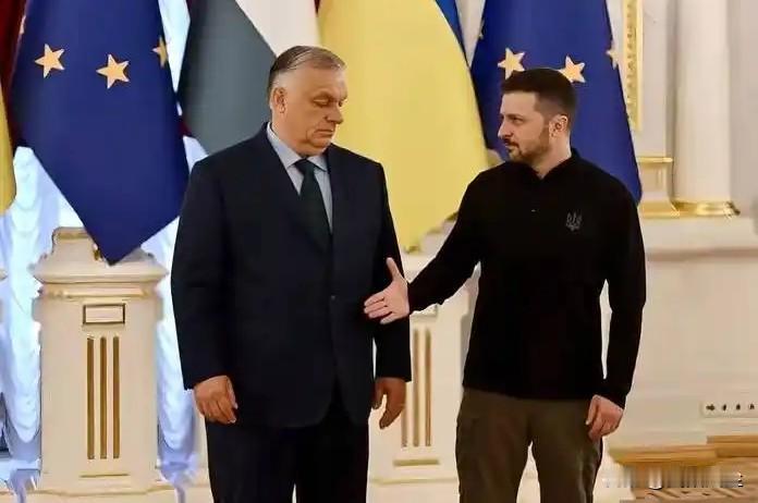 泽连斯基在达沃斯论坛的演讲中不但炮轰欧洲，还直接点名道姓的指责匈牙利总理欧尔班称