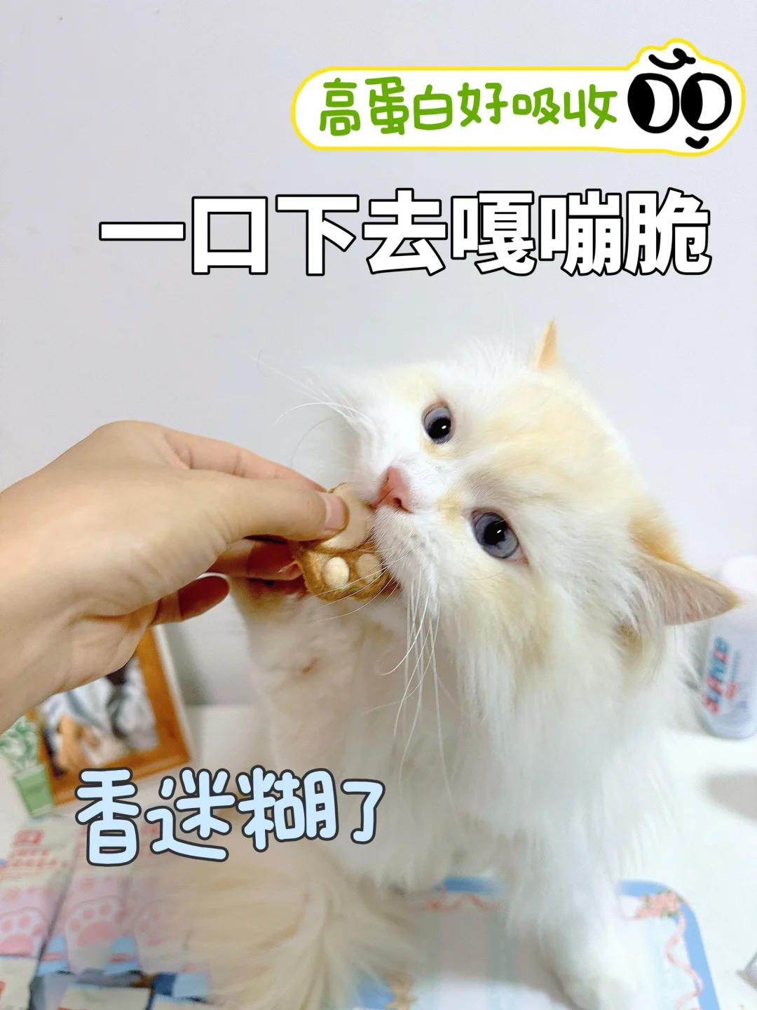 猫猫吃猫爪，越吃越迷糊