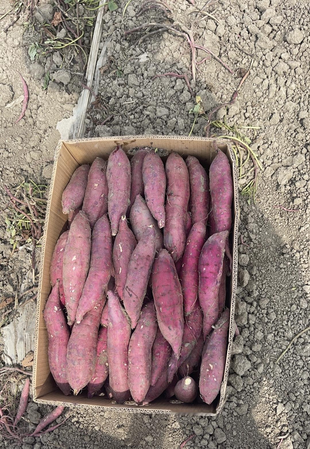 老公每个月工资9000
我每年赚3万
其他时间在家全职带儿子

一家四口的开销，