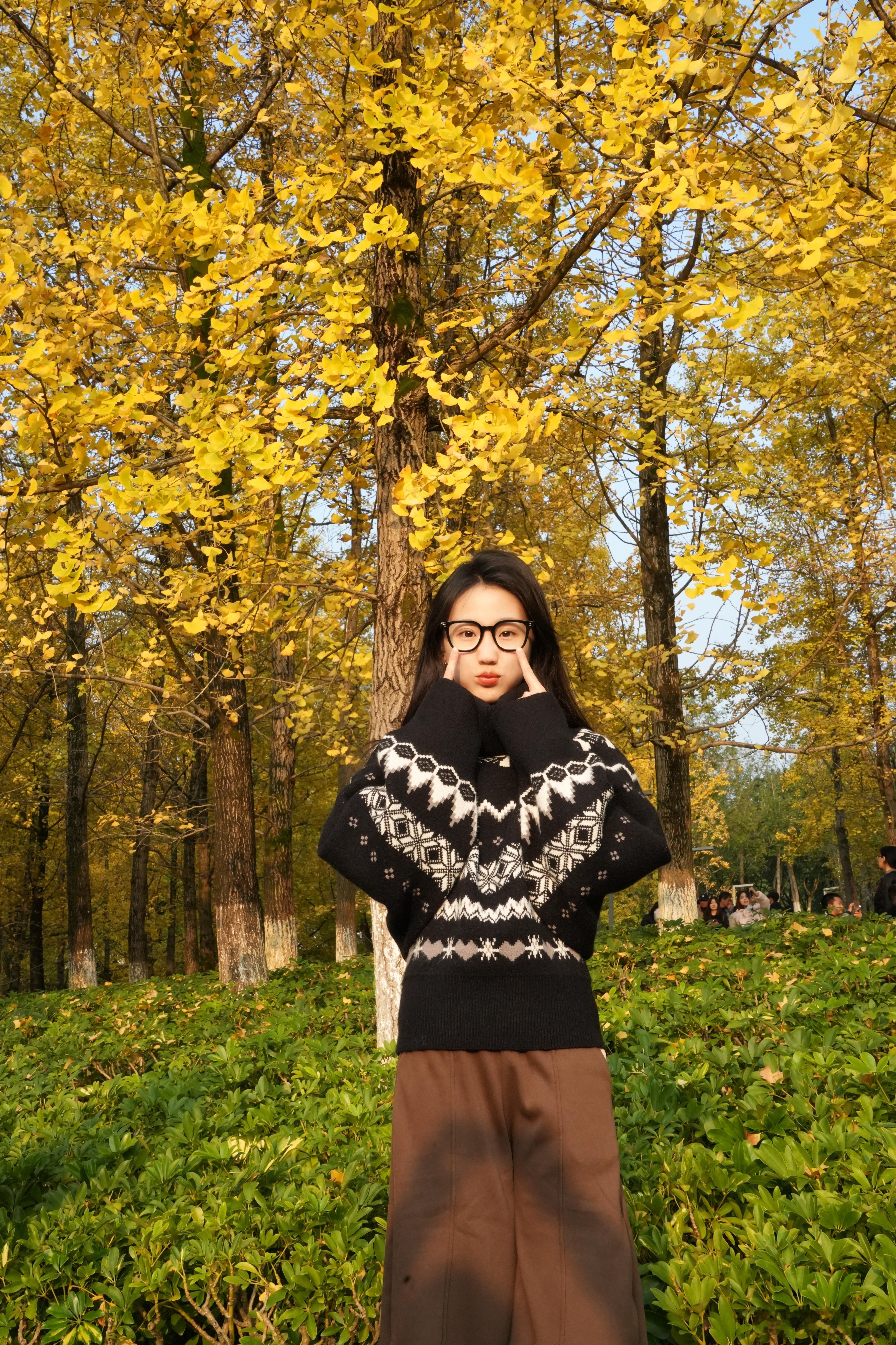 暖暖的太阳 重庆