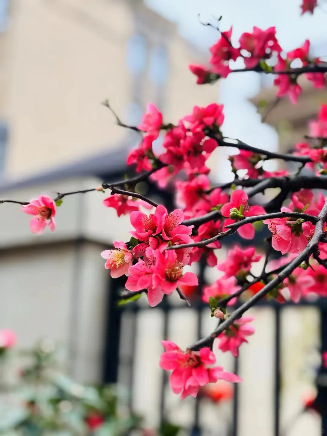 （1）二手房成交量激增！西安楼市3月小阳春，果然没让人失望
又到月初，我们来简单...