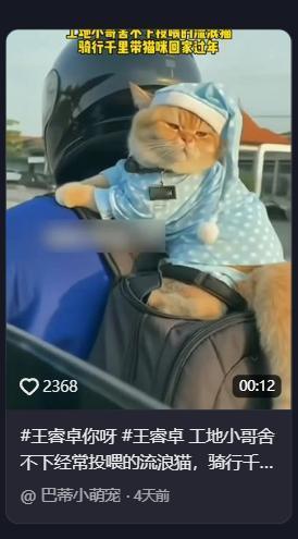 太暖心了！一男子回家过年时，由于放心不下在工地上喂养的流浪猫，担心它会出现什么意