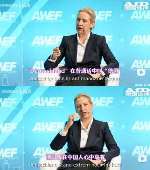 这是一句实话！魏德尔表示，德国曾在中国人心中享有极高声望与名誉，现在已经严重受损