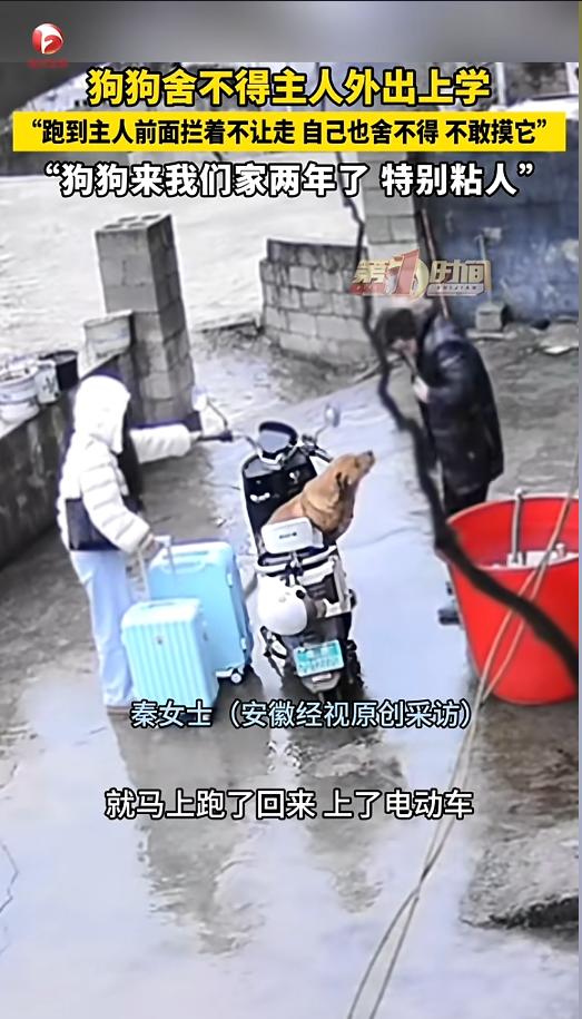 “太有灵性了！”近日，湖南湘西，一女子因假期临近结束，便收拾好行李准备回去上学。