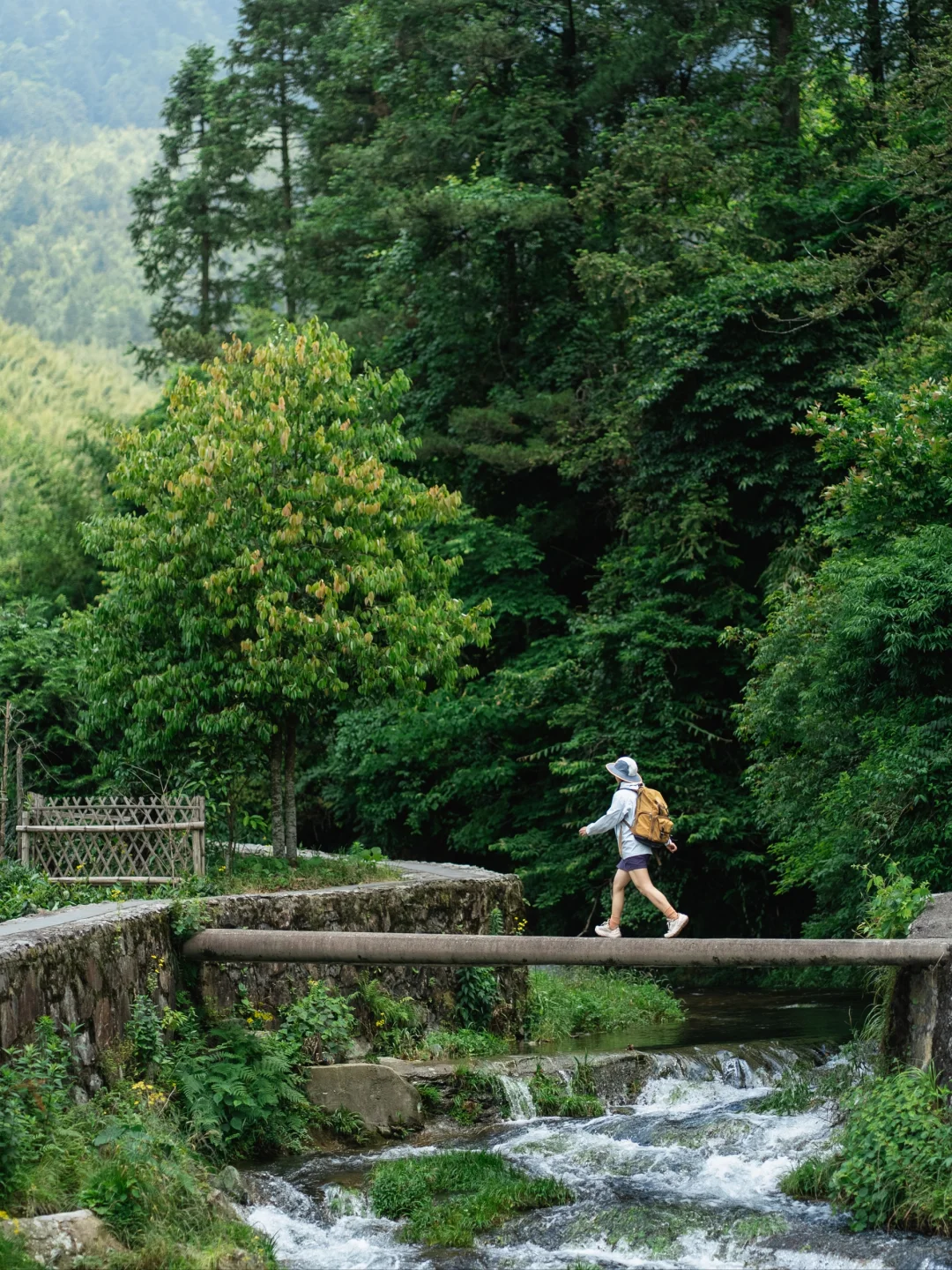 婺源山顶的避世村落🌿夏天从不用开空调