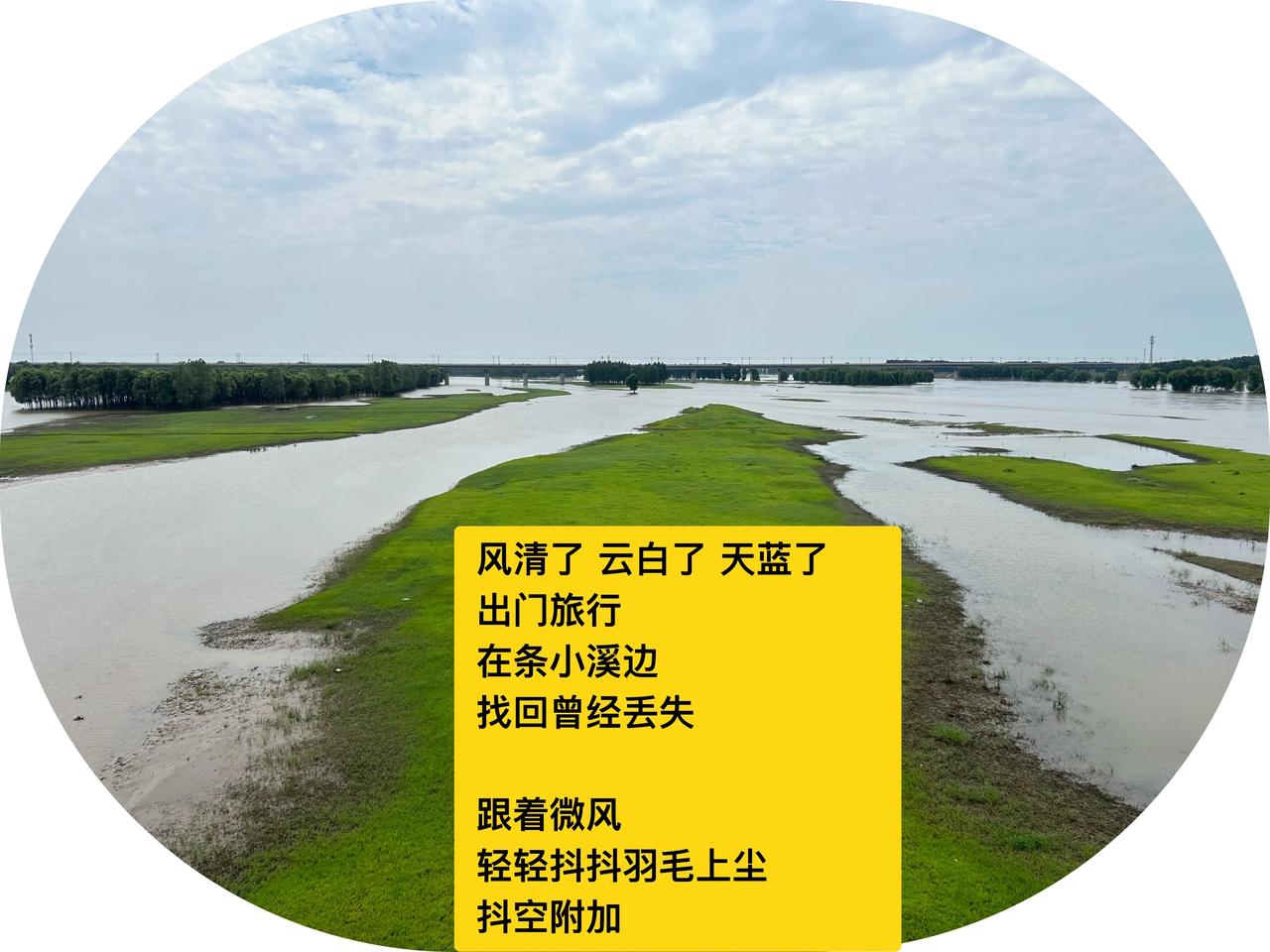 充盈着天空
这些飞鸟舞蹈
听见云朵一声叮当
．
今秋迷人
小雏菊
打去秋归来寻亲