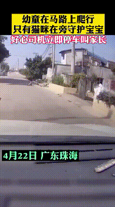 家人们，我今天看到个事儿，真的惊掉下巴！

      一个小孩子居然在马路上爬