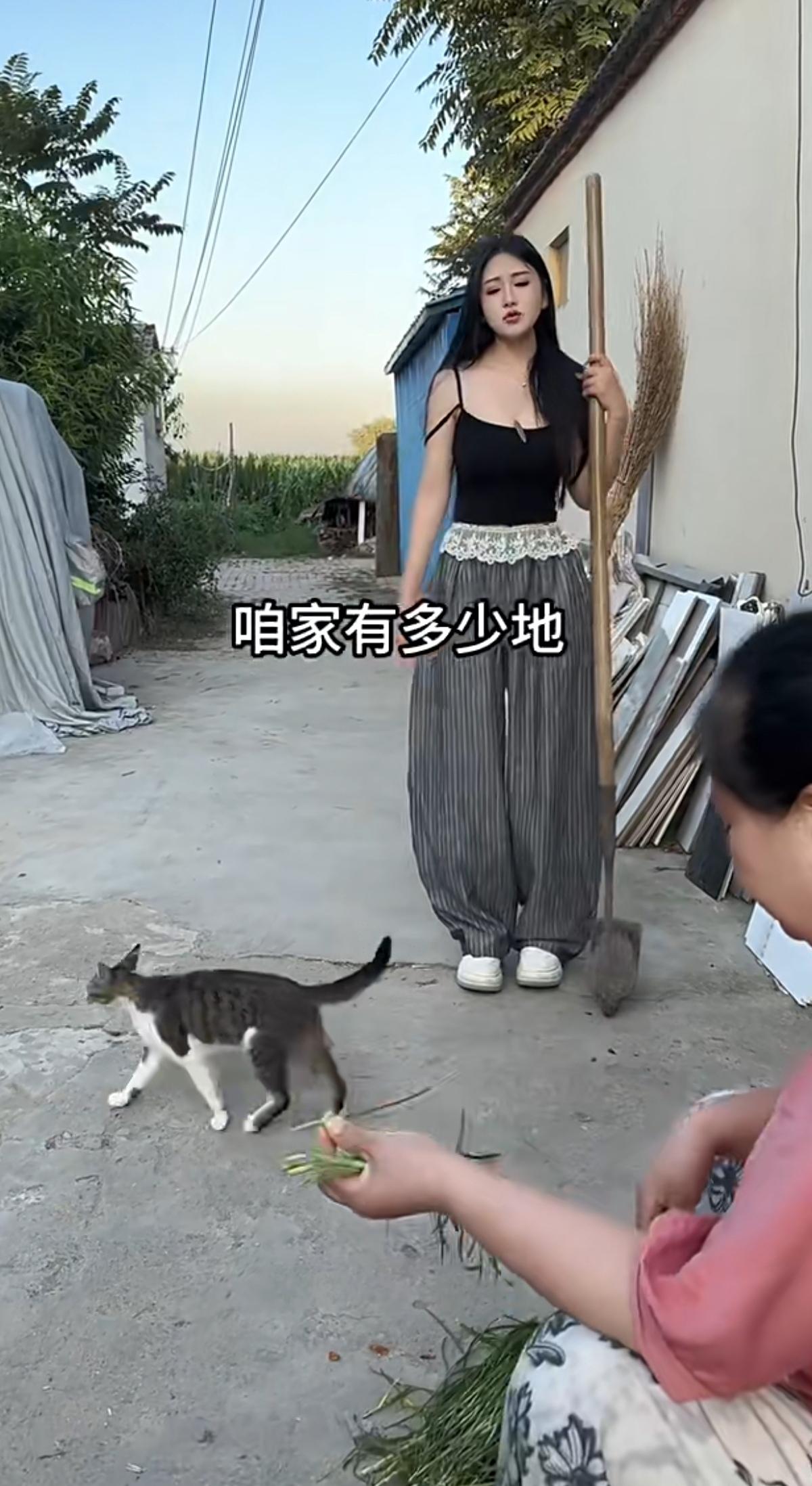 站在院子里的姑娘攥着扫帚，一脸犯愁地看向择菜的母亲，接连发问：咱家一共多少亩地？