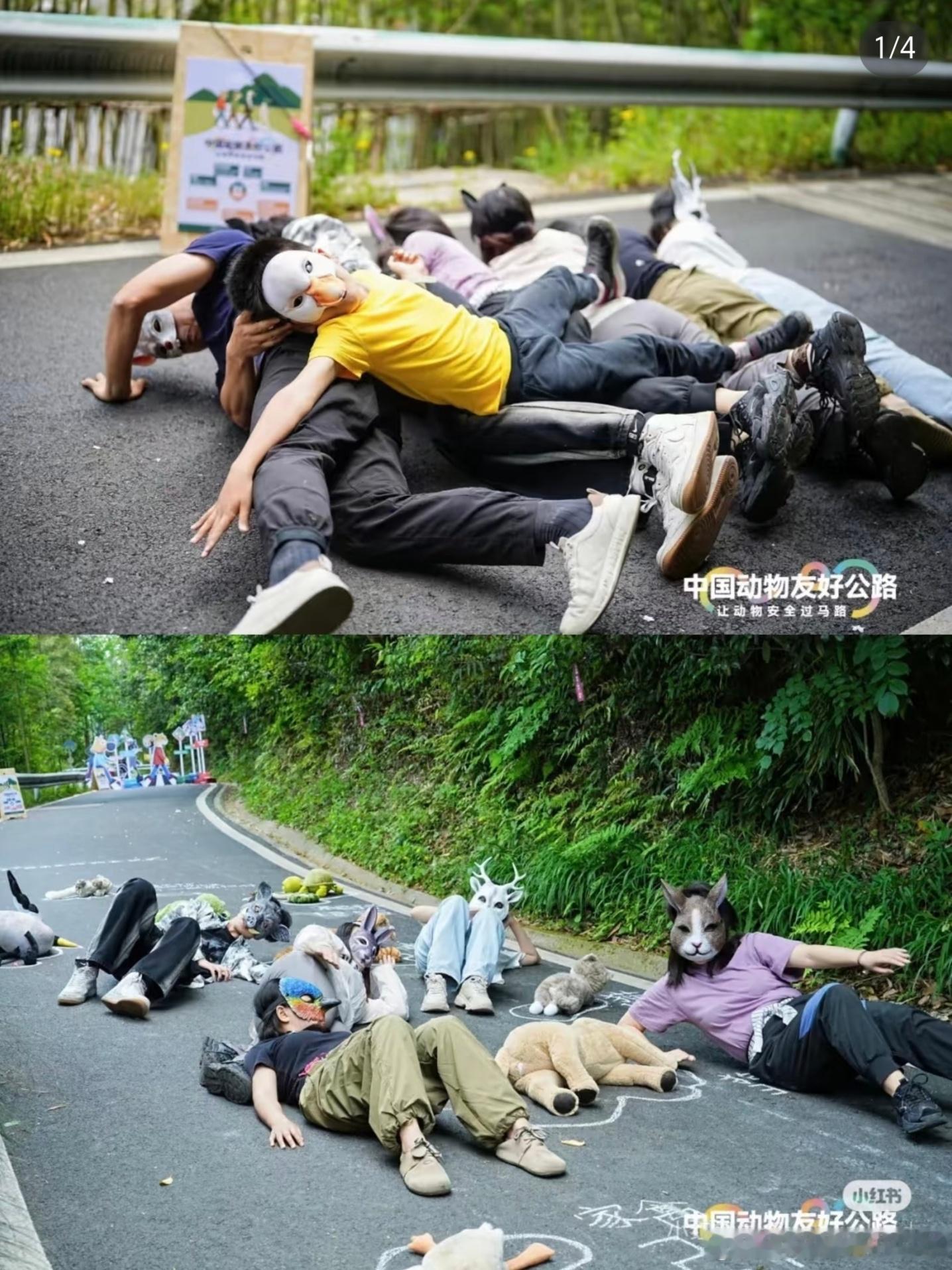 再一次在小红书见证奇葩事儿！某基金会要在杭州青山村大搞“中国动物友好公路”，说是