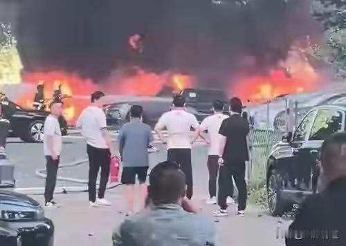 大爷闯祸了！！一名74岁老人随手点燃路边杨絮，引发火灾，烧了20辆崭新新能源汽车