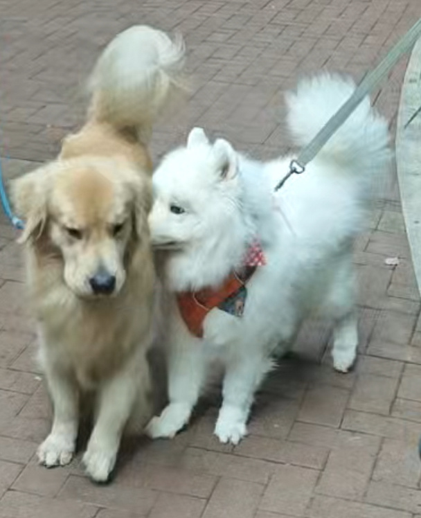 说！是不是和我天下第一好！ ​​​