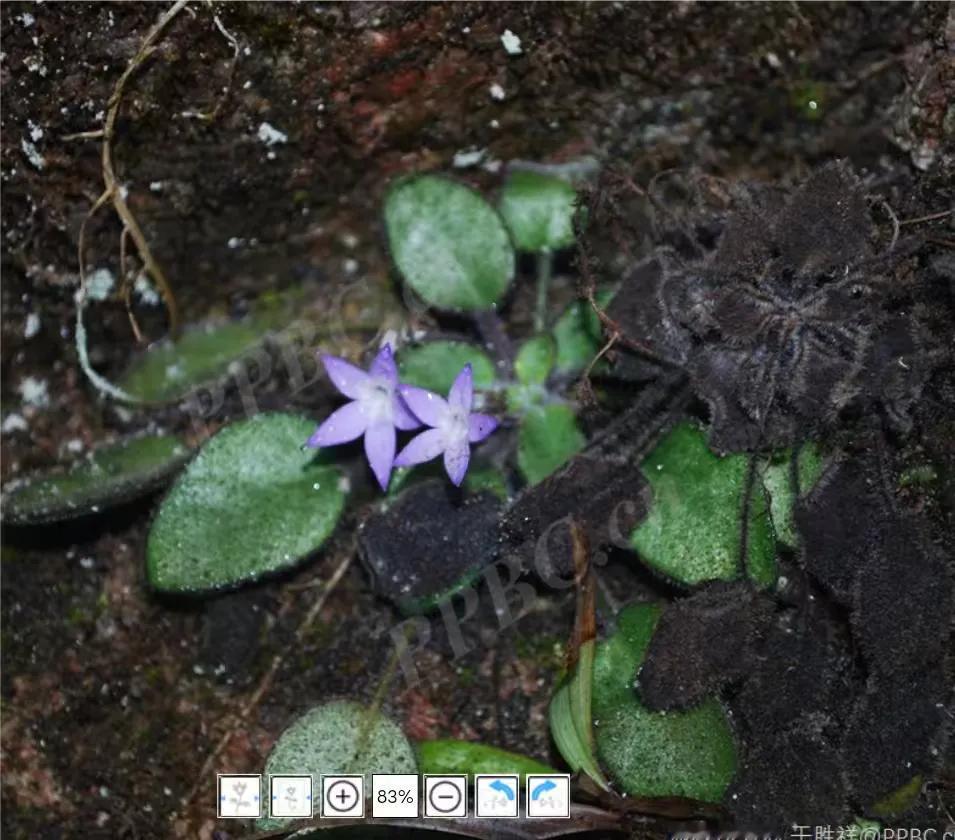 上联:穷在闹市无人问，求下联富在深山有远亲