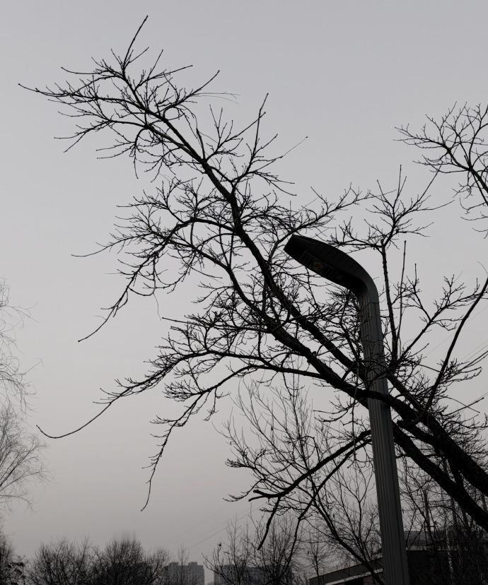 真心想要的话，就一定能够拥有呀！这份坚定的信念藏在长春的日常里，温暖又充满力量。