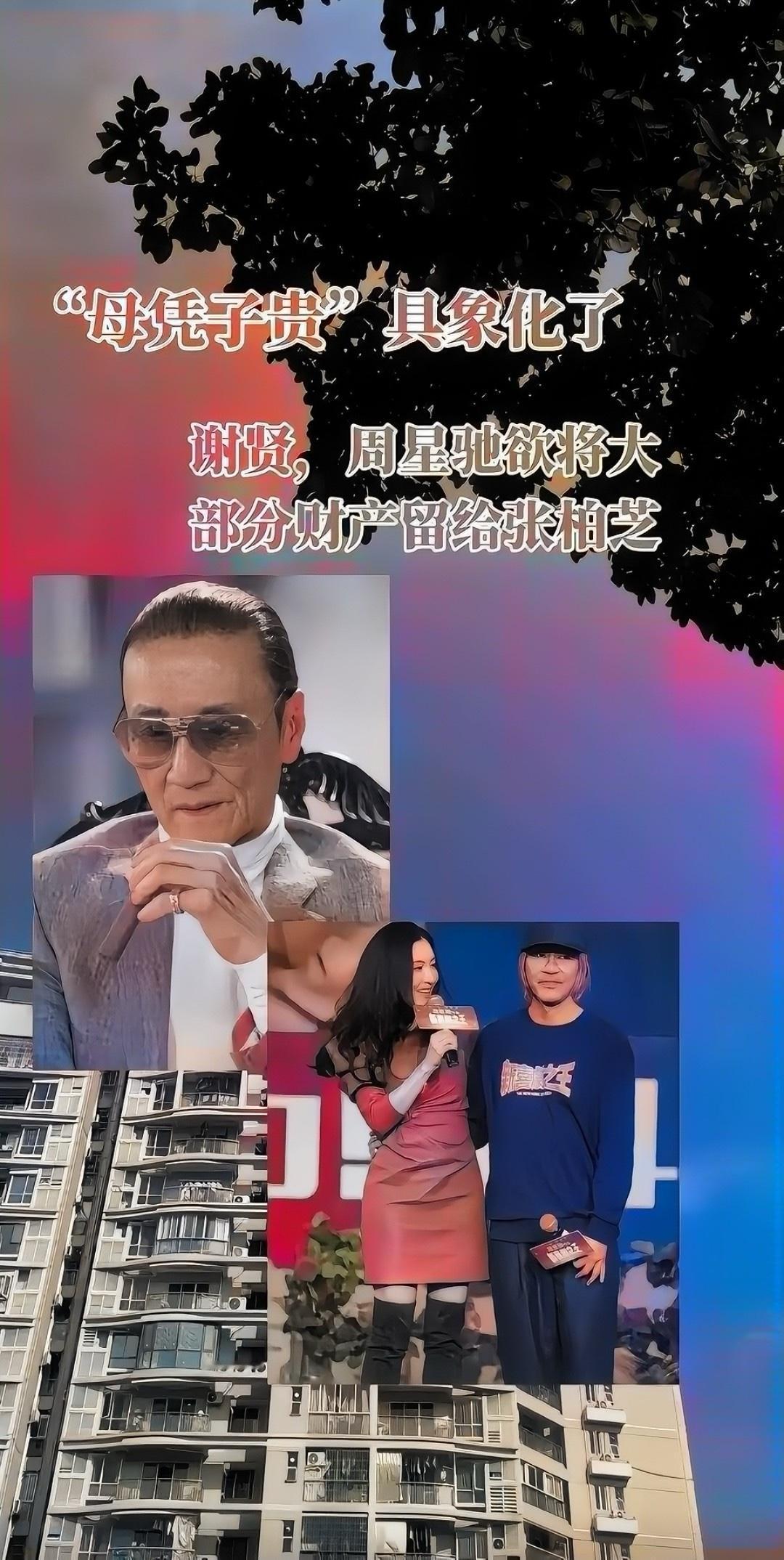 张柏芝三个儿子成人生大赢家，母凭子贵古人诚不欺我，除了四哥谢贤说将大部分财产留给