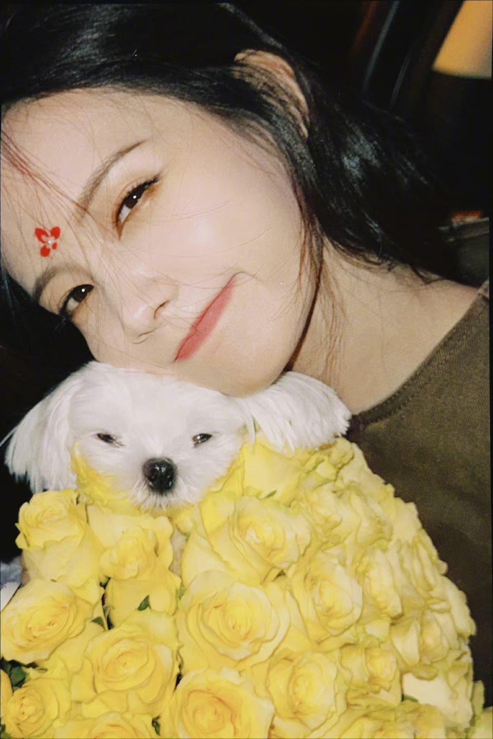 #李一桐七夕收到了黄玫瑰#浪漫的七夕加上浪漫的玫瑰，感觉这一整天都是浪漫的，祝福