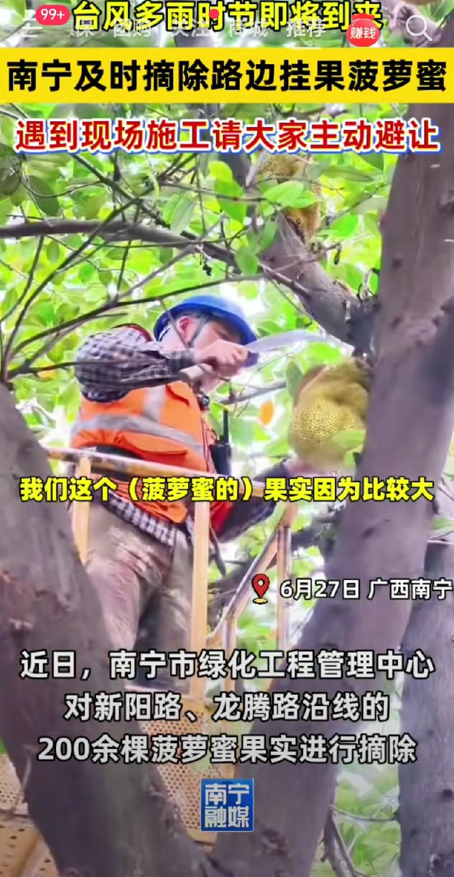 6月27日，由于台风多雨时节即将到来，南宁市绿化工程管理中心对新阳路、龙腾路沿线