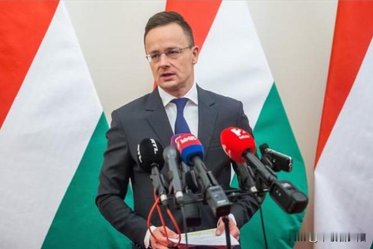 每天被罚100万欧元也绝不松口！ 匈牙利放出重磅狠话：2026年将接收零移民，一