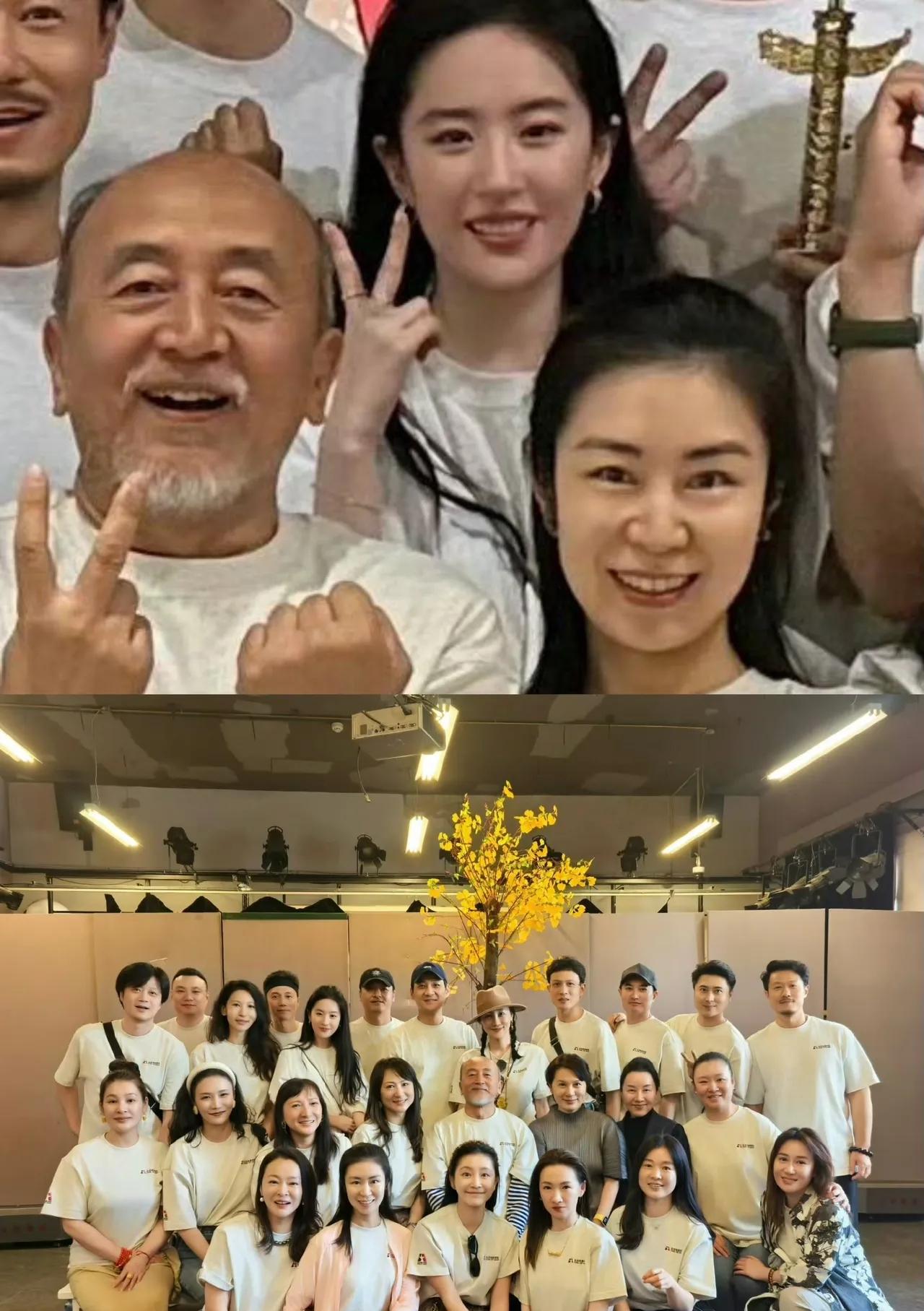 刘亦菲北电同学聚会照，

充分反映了一个问题，

那就是，他们班的同学除了刘亦菲