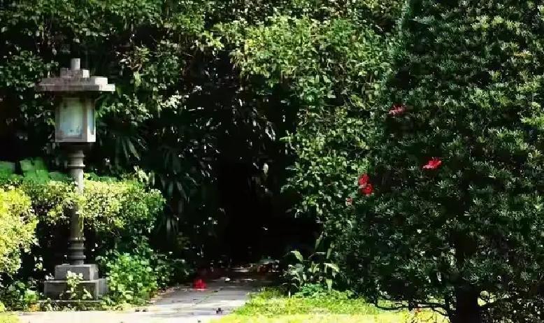 很多人总觉得财富自由高不可攀，其实真正卡住大部分人的，不是缺钱，而是心态崩了。现