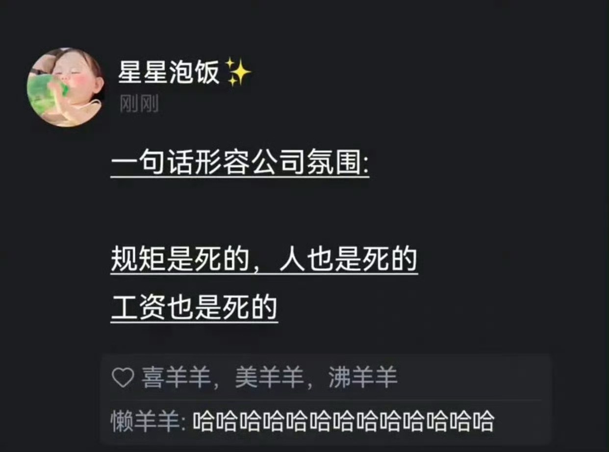 一句话形容公司氛围[二哈] ​​​