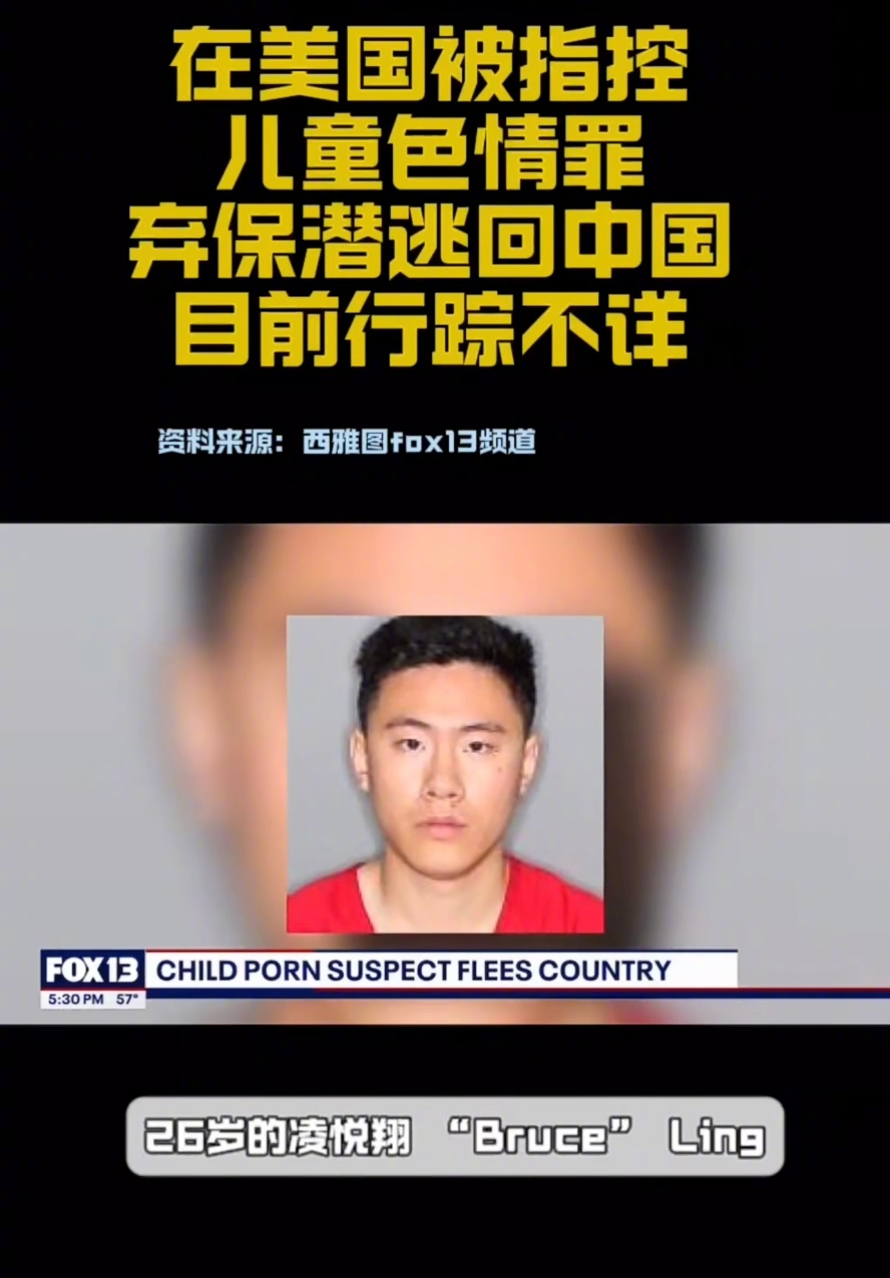 一位叫凌悦翔的心理咨询师在美国被警方以儿童色情罪名逮捕，后来逃回中国，目前在国内