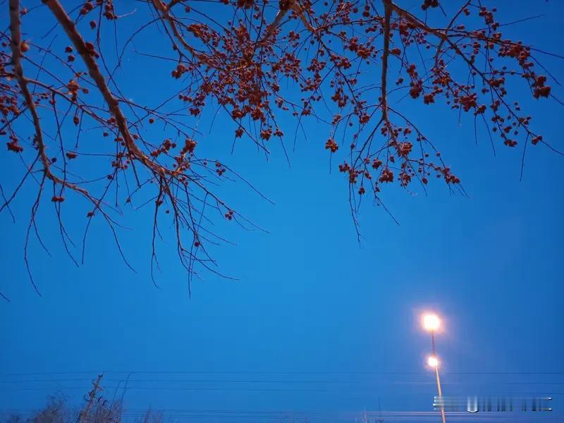 想拥有迷人气质，得从多方面下功夫。
生活习惯上，要保持充足睡眠，作息规律，这样身