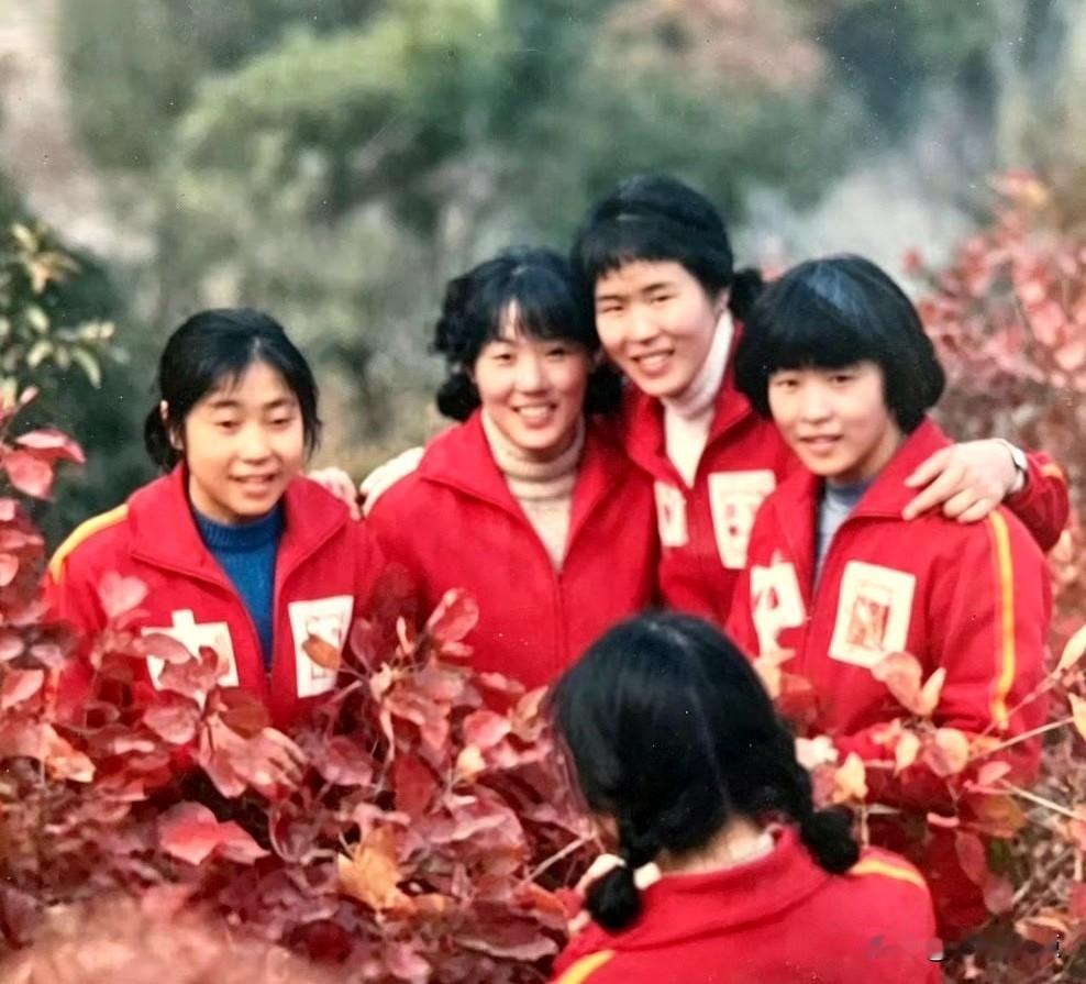 当年，中国女排三连冠时期，队员们在红叶丛中同框合影。
四十多年过去了，如今还有多