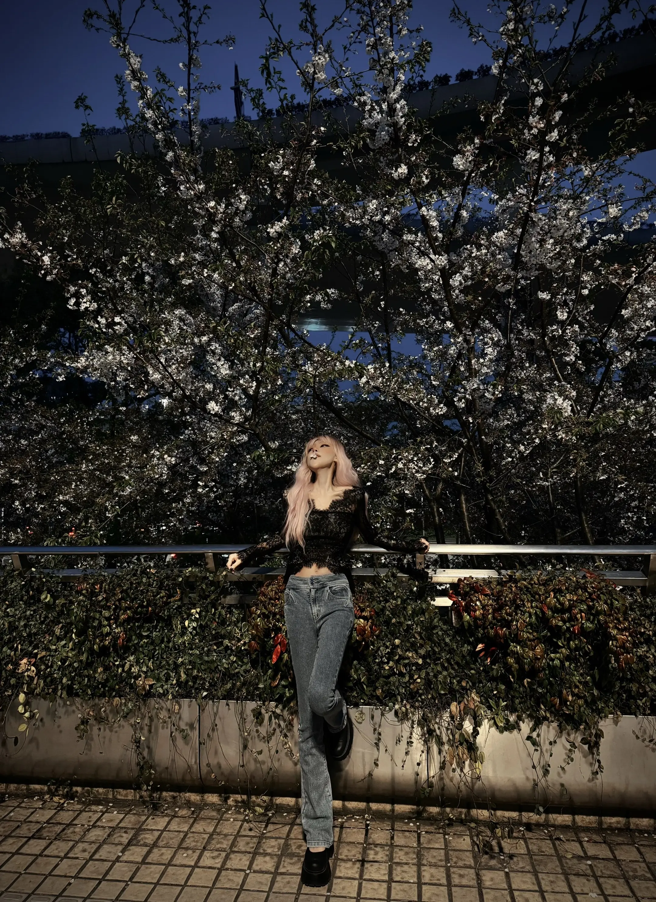 你记得花 花就不会枯萎