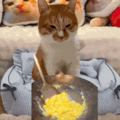 【橄榄油到底能不能炒菜？】很多人认为，橄榄油只是在做沙拉或是凉拌菜时才用得到，甚