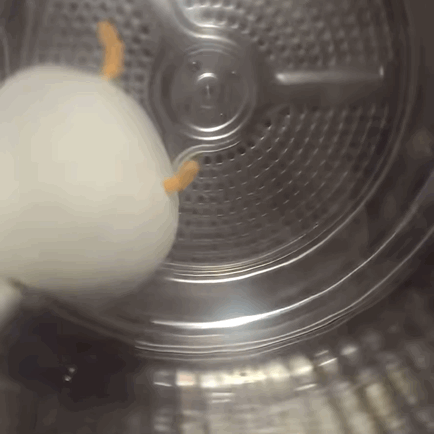 每日一告白屋里最棒的西皮溜溜 要玩得开心呀！！！不过要注意天气注意出行安全捏！台