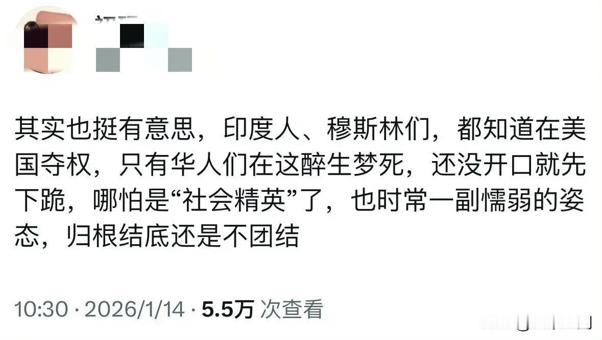 外网华人博感叹美国的印度人和穆斯林们都知道在美国夺权，而美国的华人们却还在醉生梦