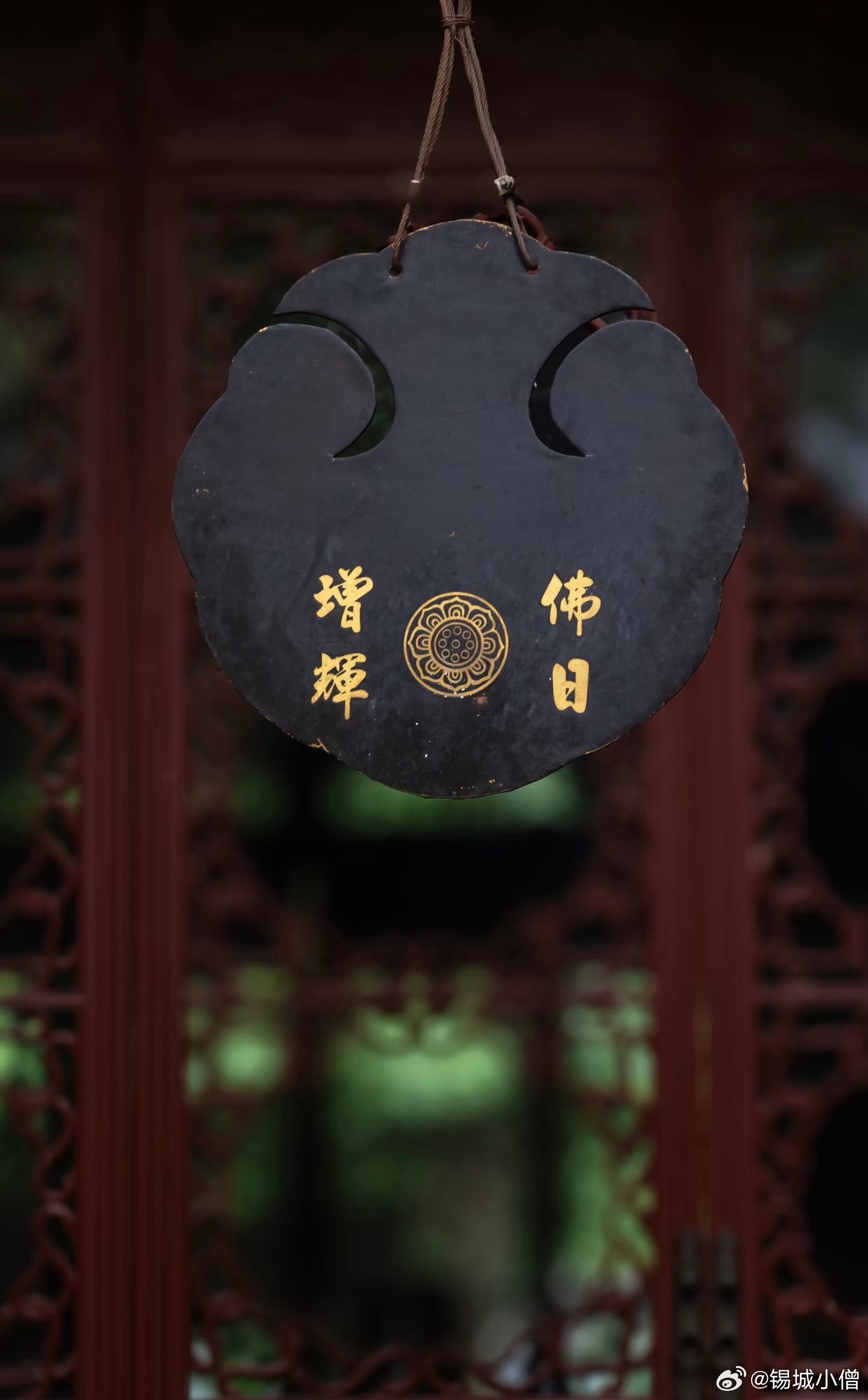 佛教  师父说：阅尽世间冷暖，仍守心底善良，吃过万般苦楚，依旧温柔坦荡，这便是成