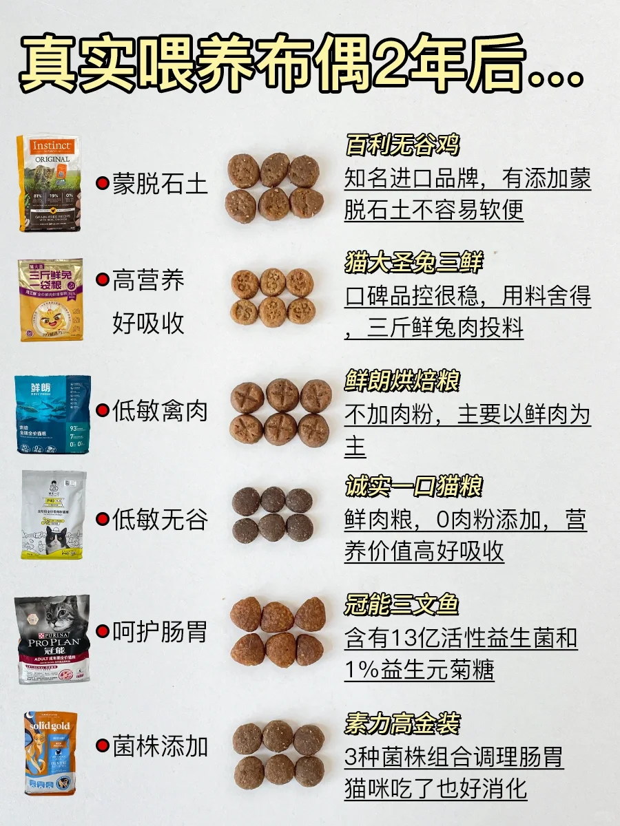 布偶猫粮怎么选？来听听2年养猫的真实分享
