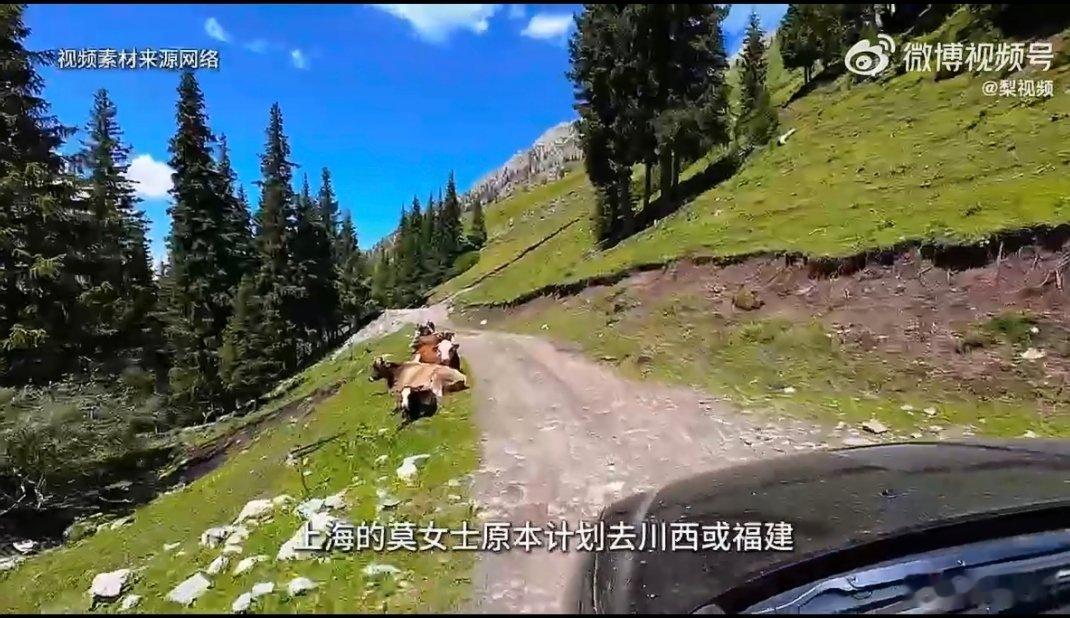 五一机票暴涨多网友改自驾游机票暴涨拦不住出行的心，大批网友果断退票自驾。不用抢票