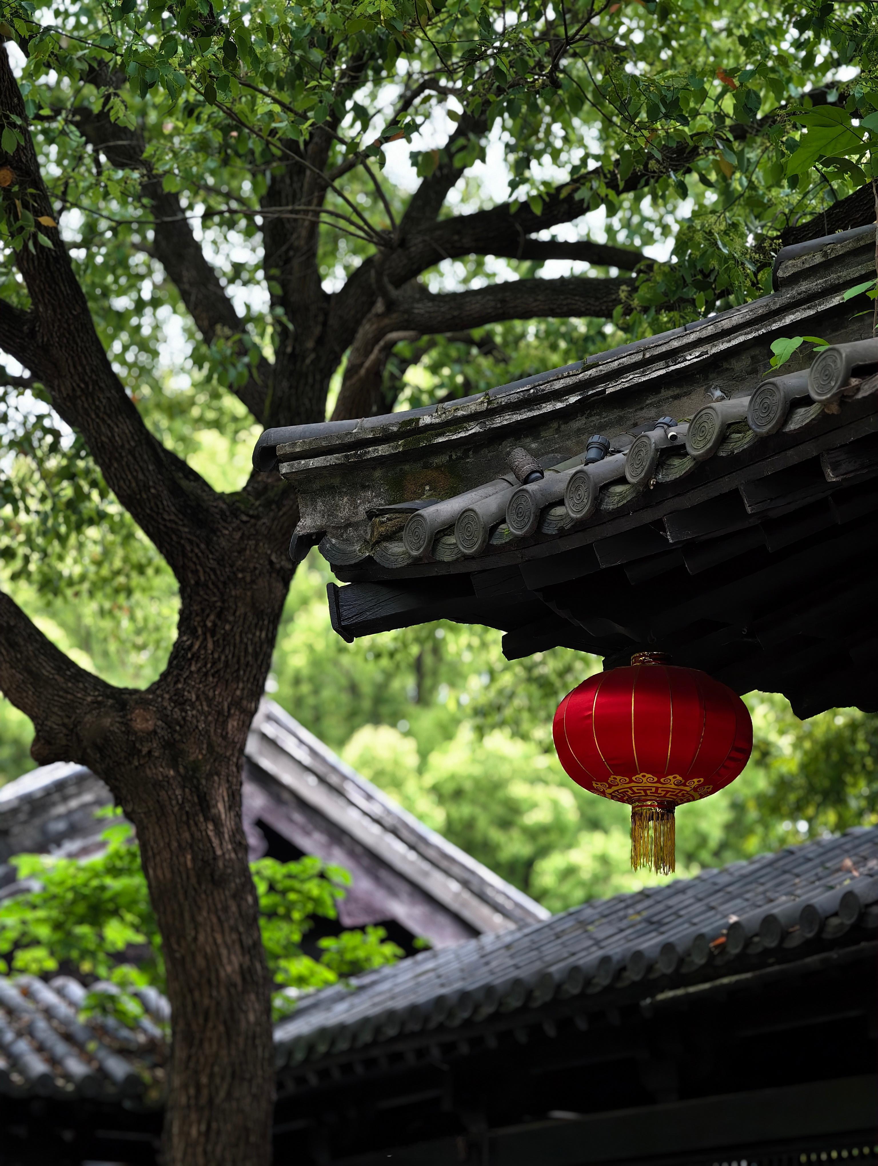 昨日份晚饭，在嘉兴椿山竹院解决，这是一家隐匿在放鹤洲公园里，主打精致融合菜和江浙