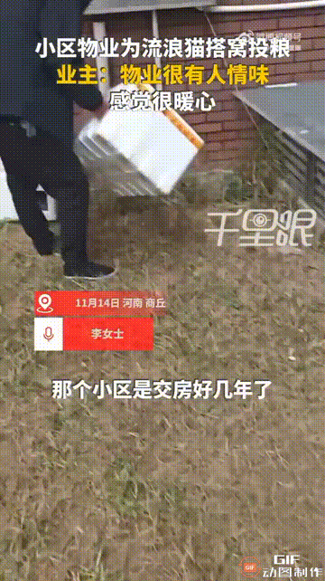 河南商丘一处小区内，物业工作人员为救助的流浪猫设置了专门的“投喂角”，用泡沫箱做