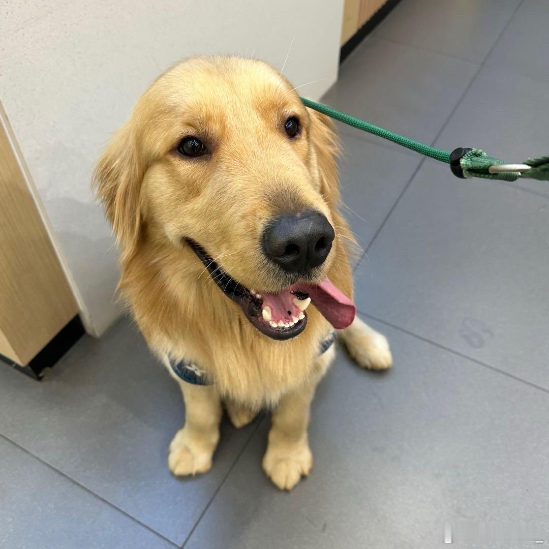 沿途春暖花开[抱一抱] ​​​