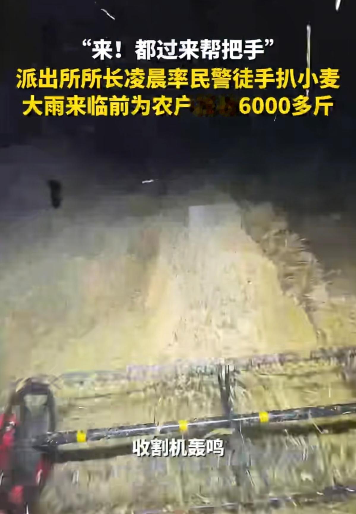 一夜帮5户扒出6000斤小麦，派出所所长：我们都是农民的孩子！

凌晨1点，派出
