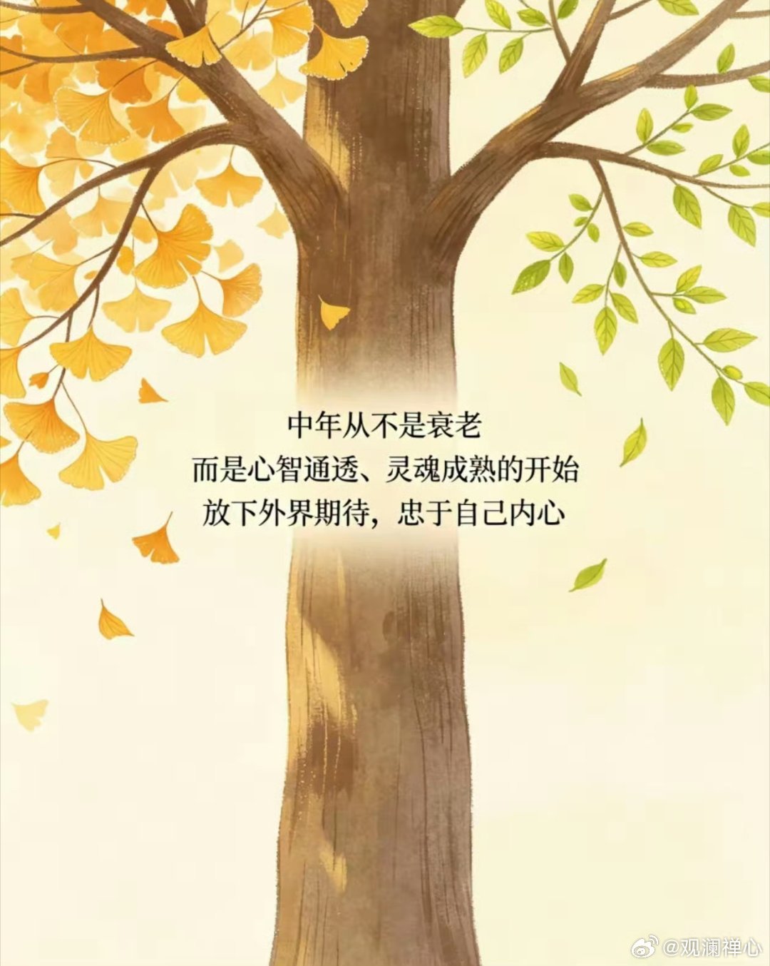 到了这个年纪，只想活得恣意。别问精彩与否，一切都会过去。 